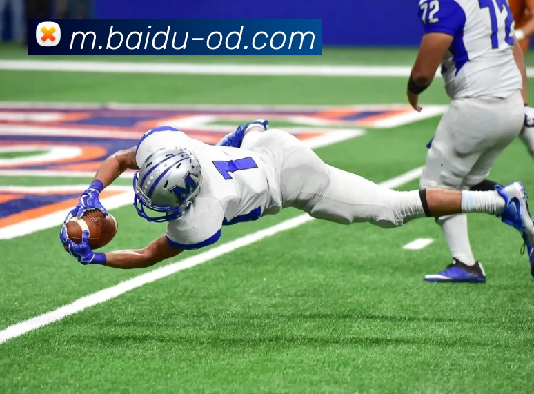 OD体育发展历程